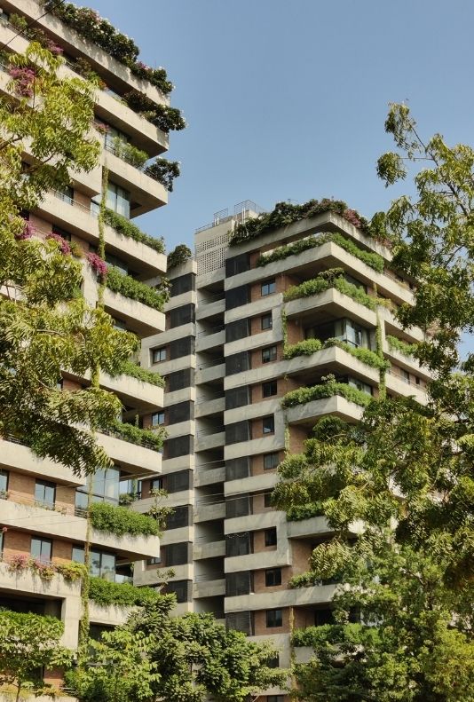 Leed development and program certification