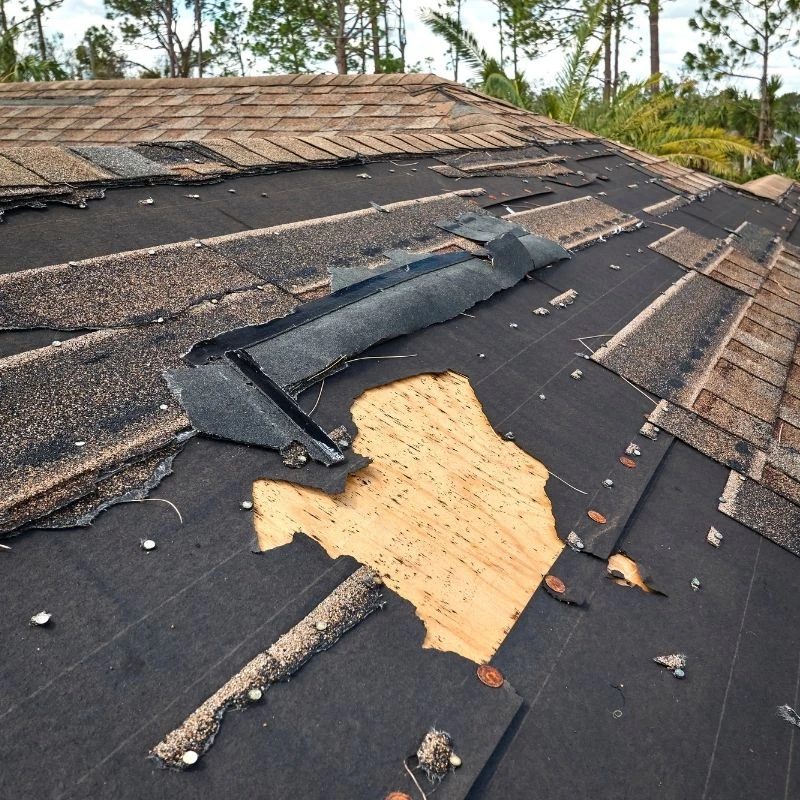 Drone Building Roof Inspection Surveys