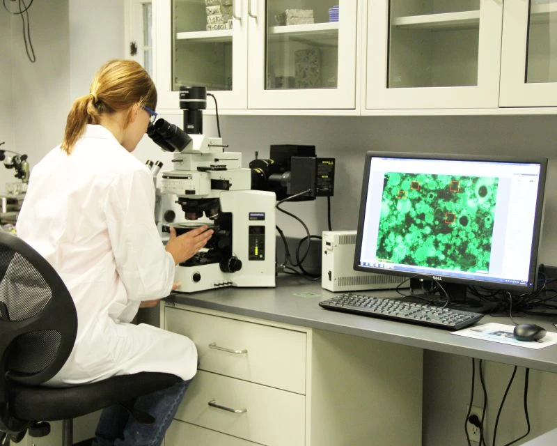petrographic analysis laboratory firm