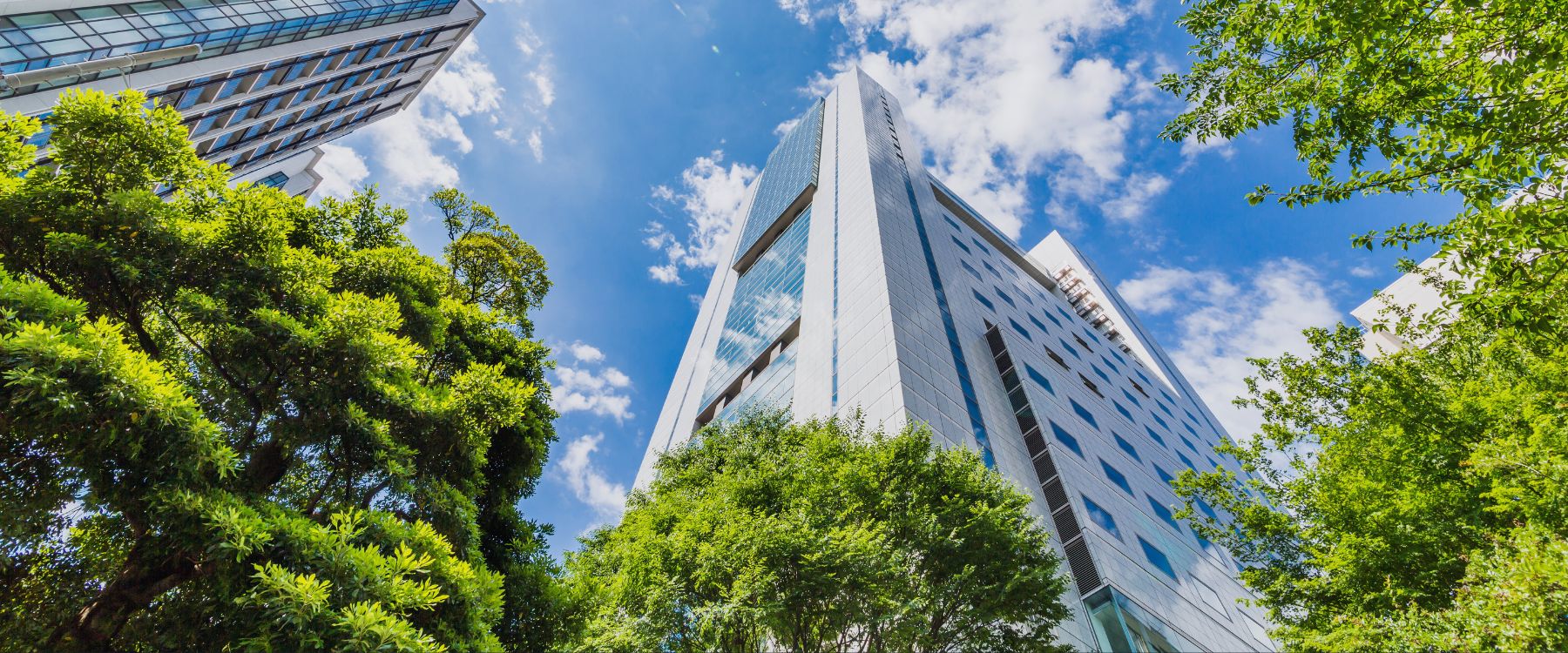 green building certification consulting for sustainable project