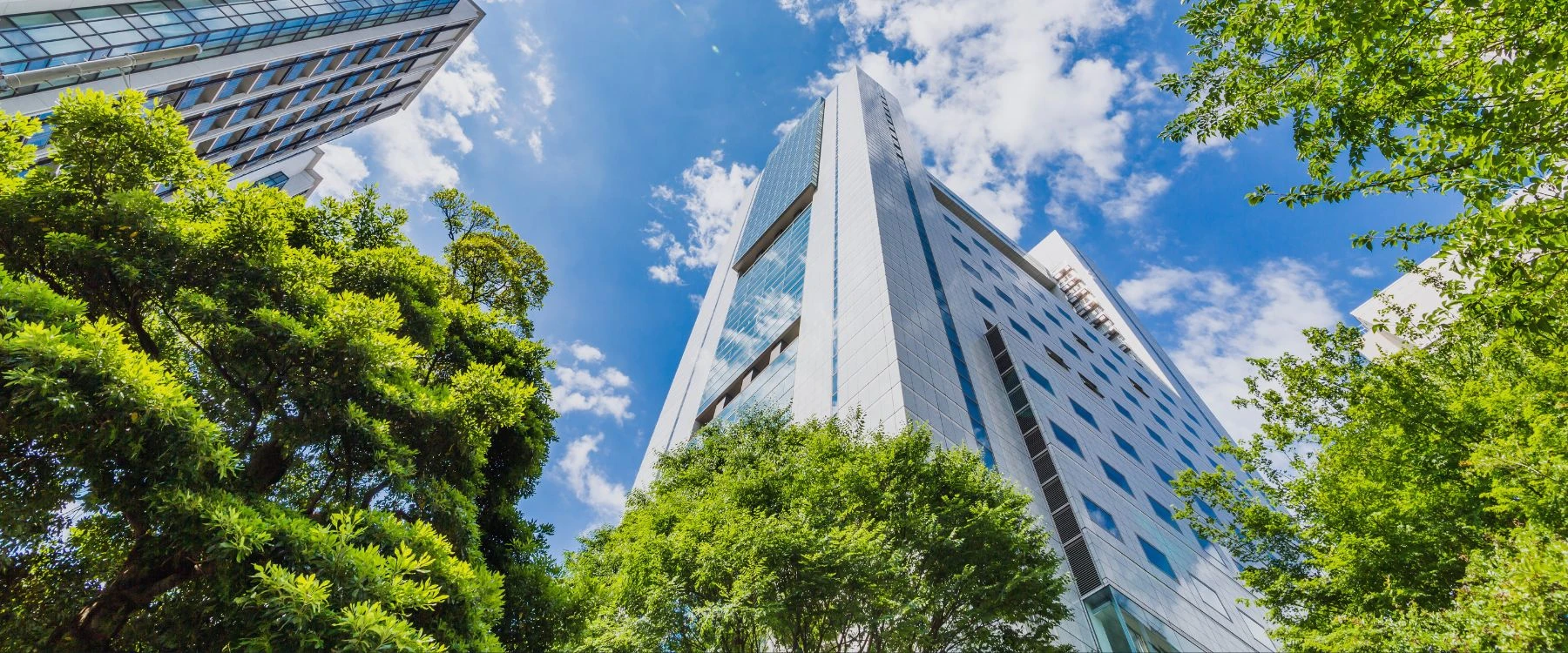 green building certification consulting for sustainable project