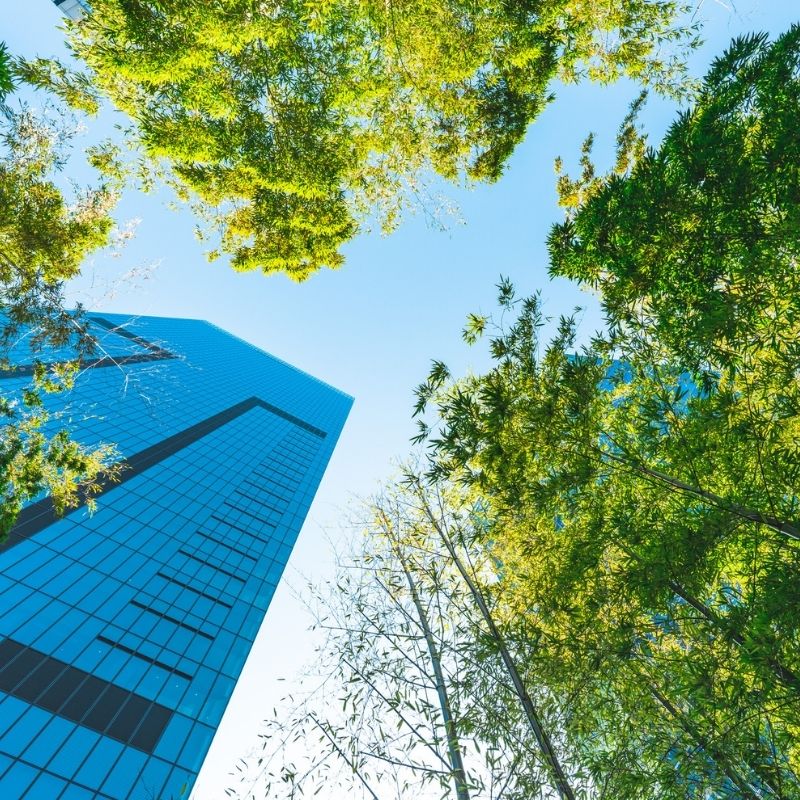 Upward view of a modern glass building 