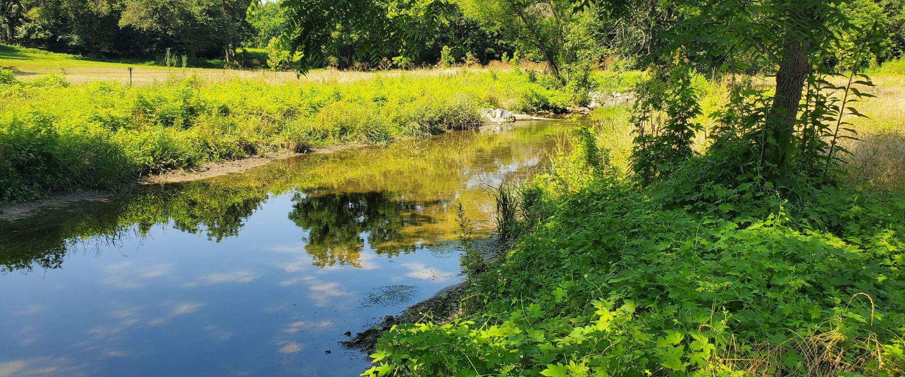 Coplay Creek Stream Bank Restoration, PA