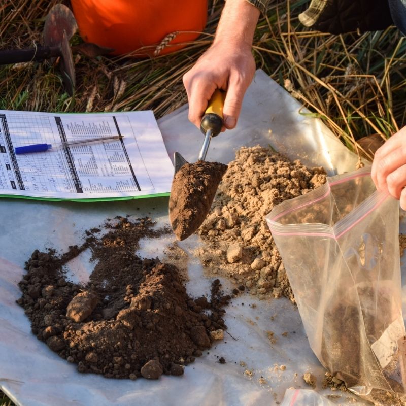 A close-up view of a geotechnical field investigation showing soil samples being collected and sorted into bags beside a field data sheet and sampling tools.