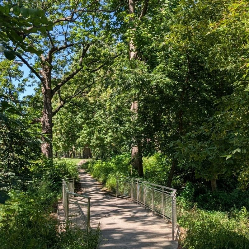 Pedestrian pathway and small bridge surrounded by mature trees and native vegetation at Wissinoming Park in Philadelphia, Pennsylvania.
