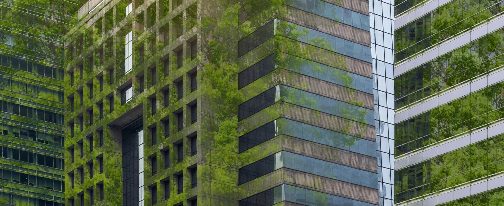 energy and consulting services for building performance