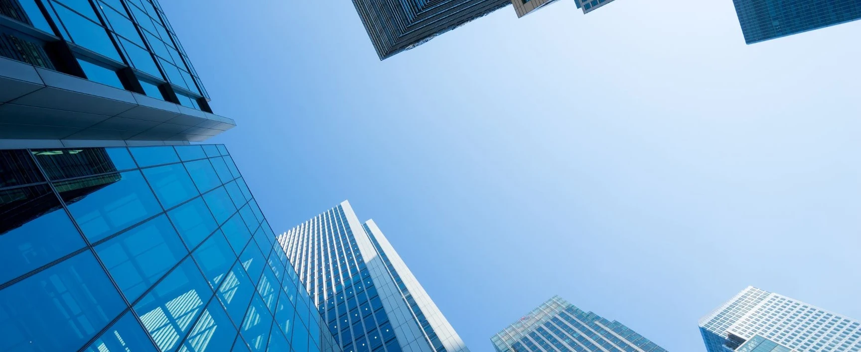 insurance company and surety