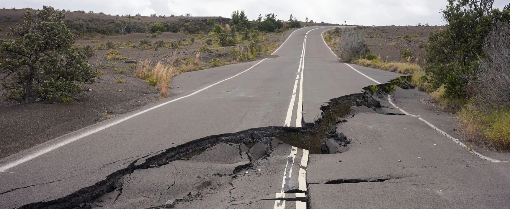 forensic geotechnical engineering