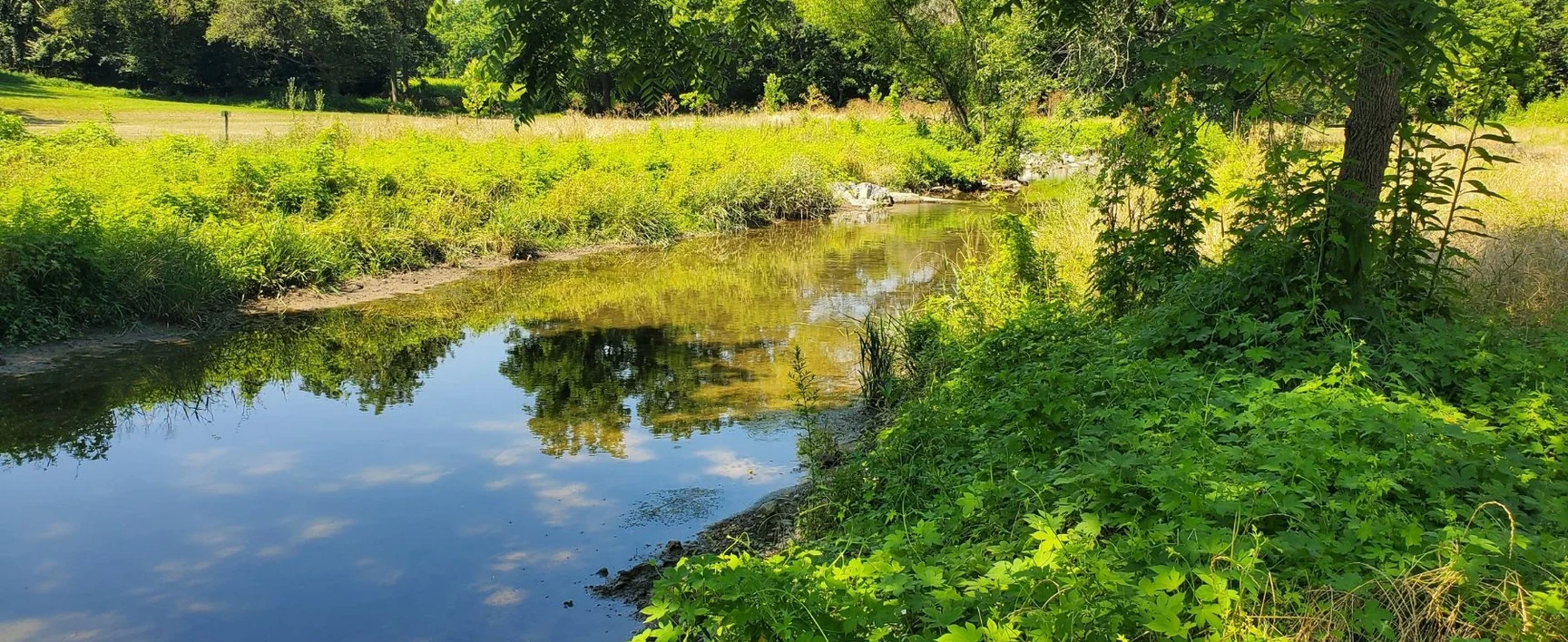 Coplay Creek Stream Bank Restoration post construction pennsylvania