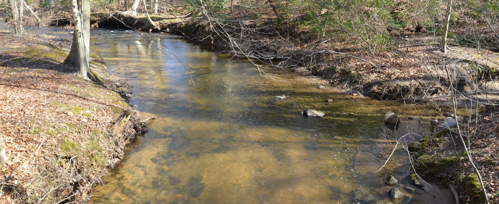 View of Coplay Creek showing a natural stream channel bordered by wooded banks, with visible areas of bank erosion