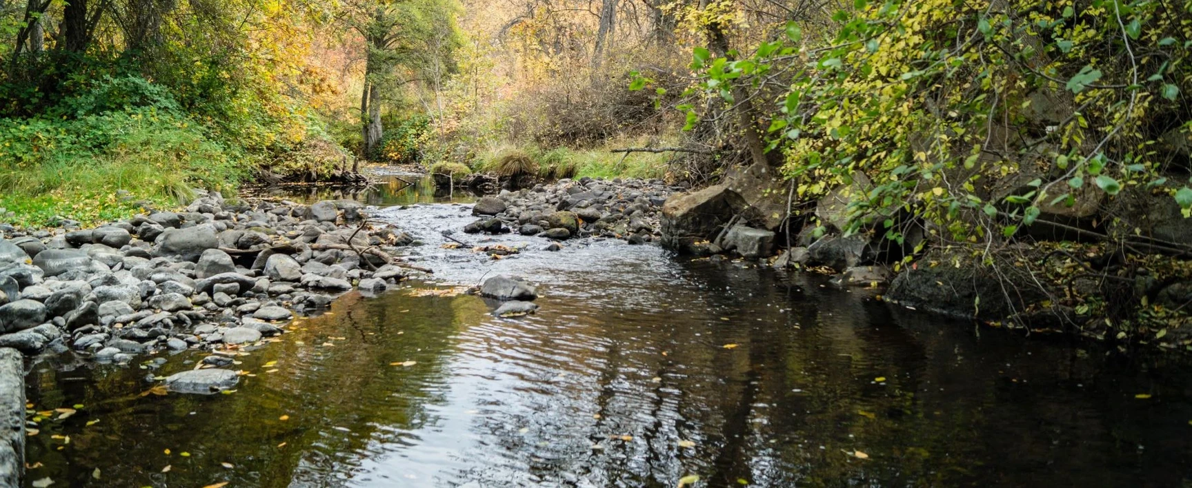 work in creek Washington state