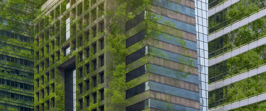 energy and consulting services for building performance