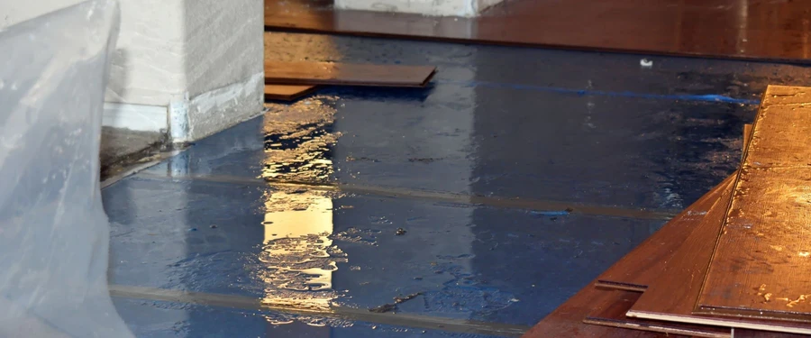 water leak investigation and forensic expert witness